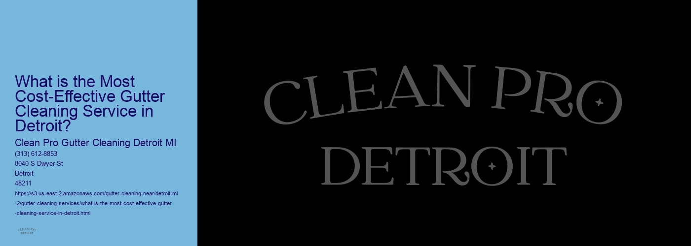 What is the Most Cost-Effective Gutter Cleaning Service in Detroit?