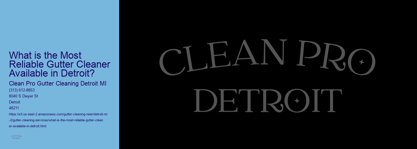 What is the Most Reliable Gutter Cleaner Available in Detroit?