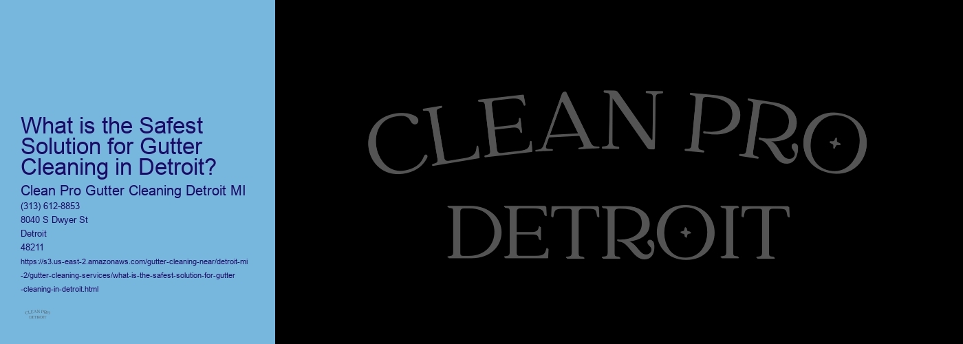What is the Safest Solution for Gutter Cleaning in Detroit?