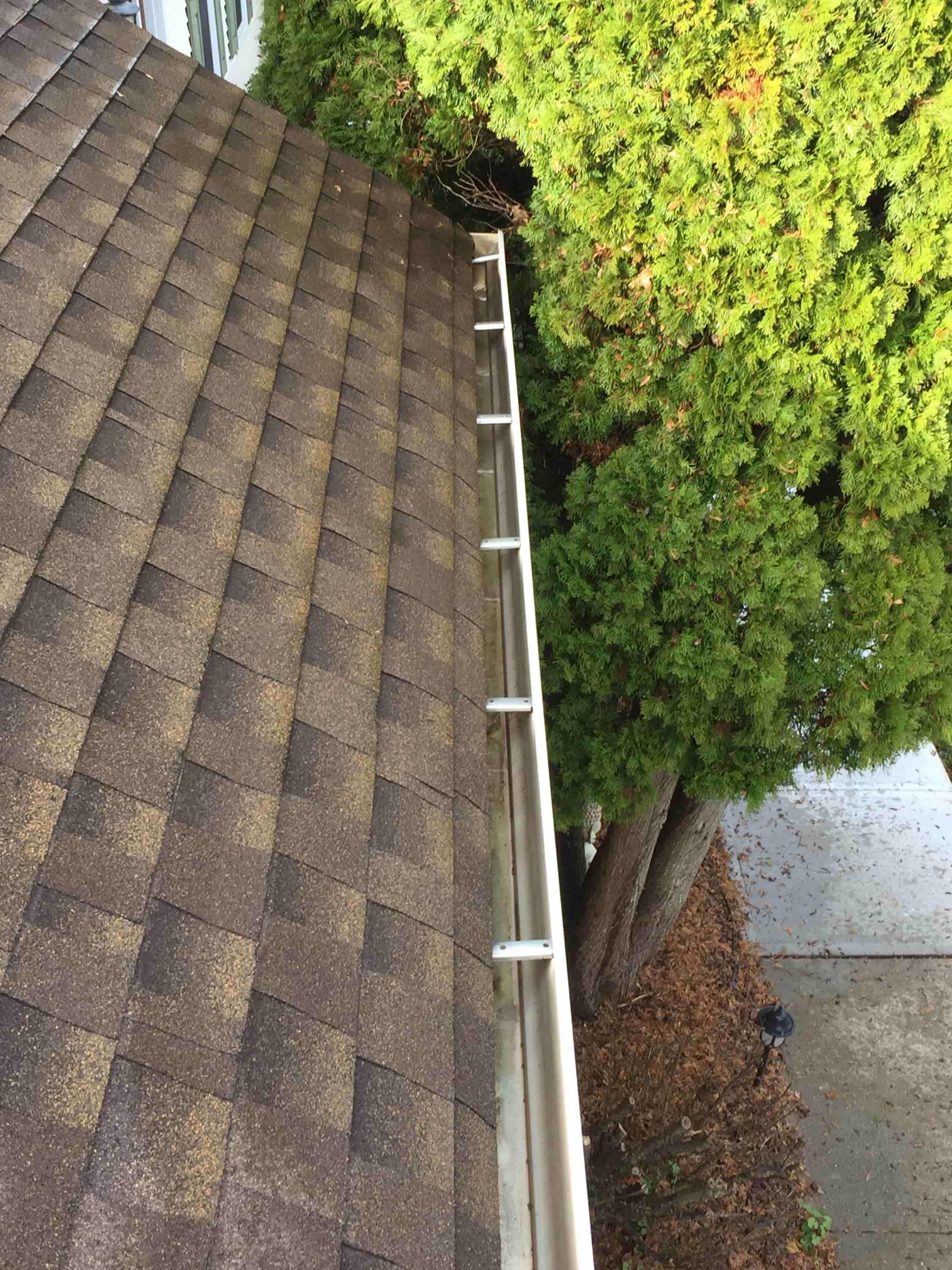 rain gutter cleaning service
