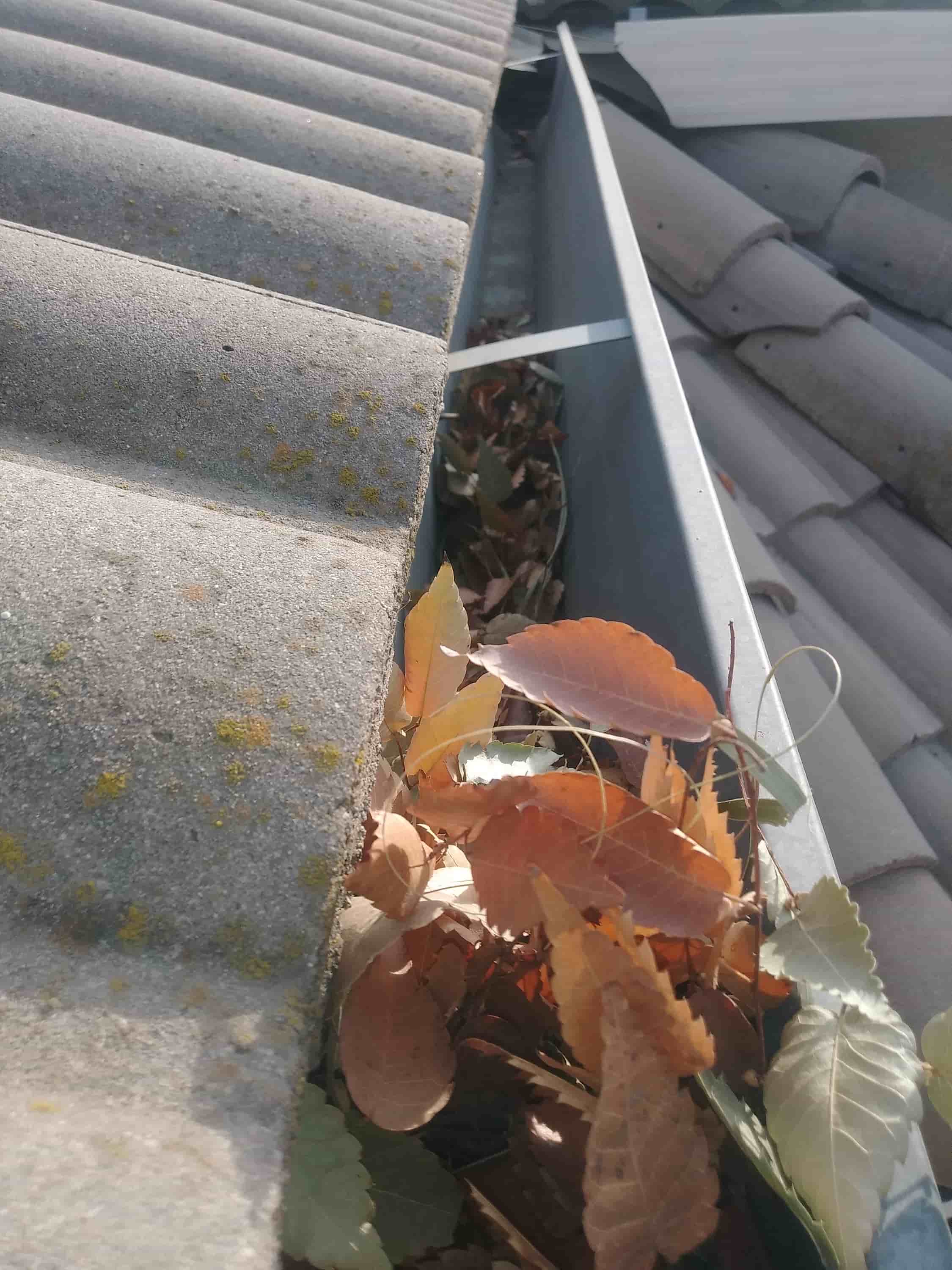 gutter clean out near me