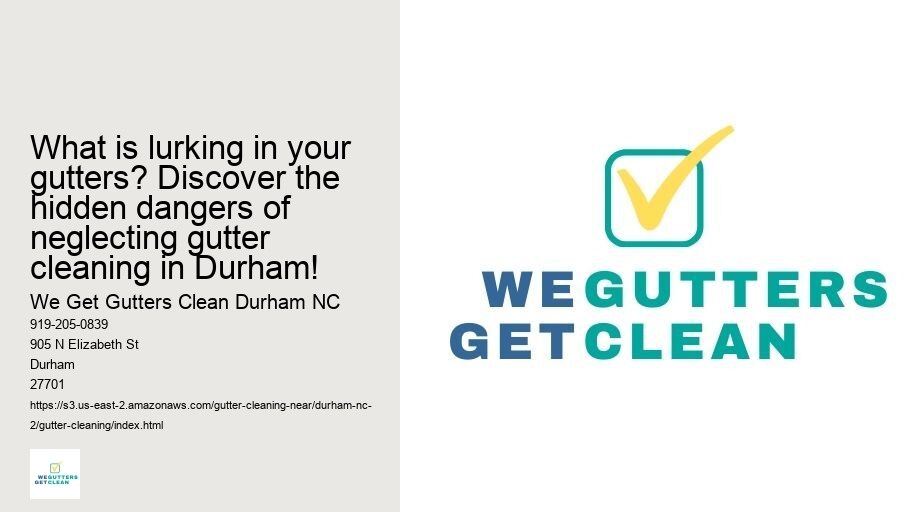 What is lurking in your gutters? Discover the hidden dangers of neglecting gutter cleaning in Durham!