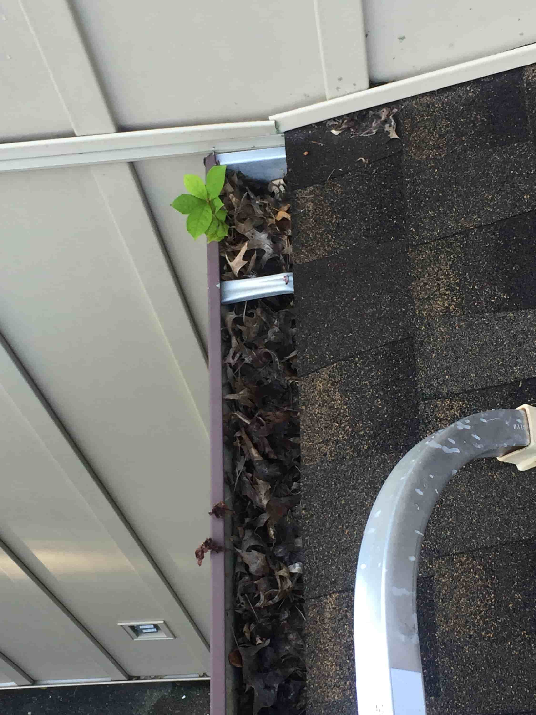 clean clogged gutter downspout