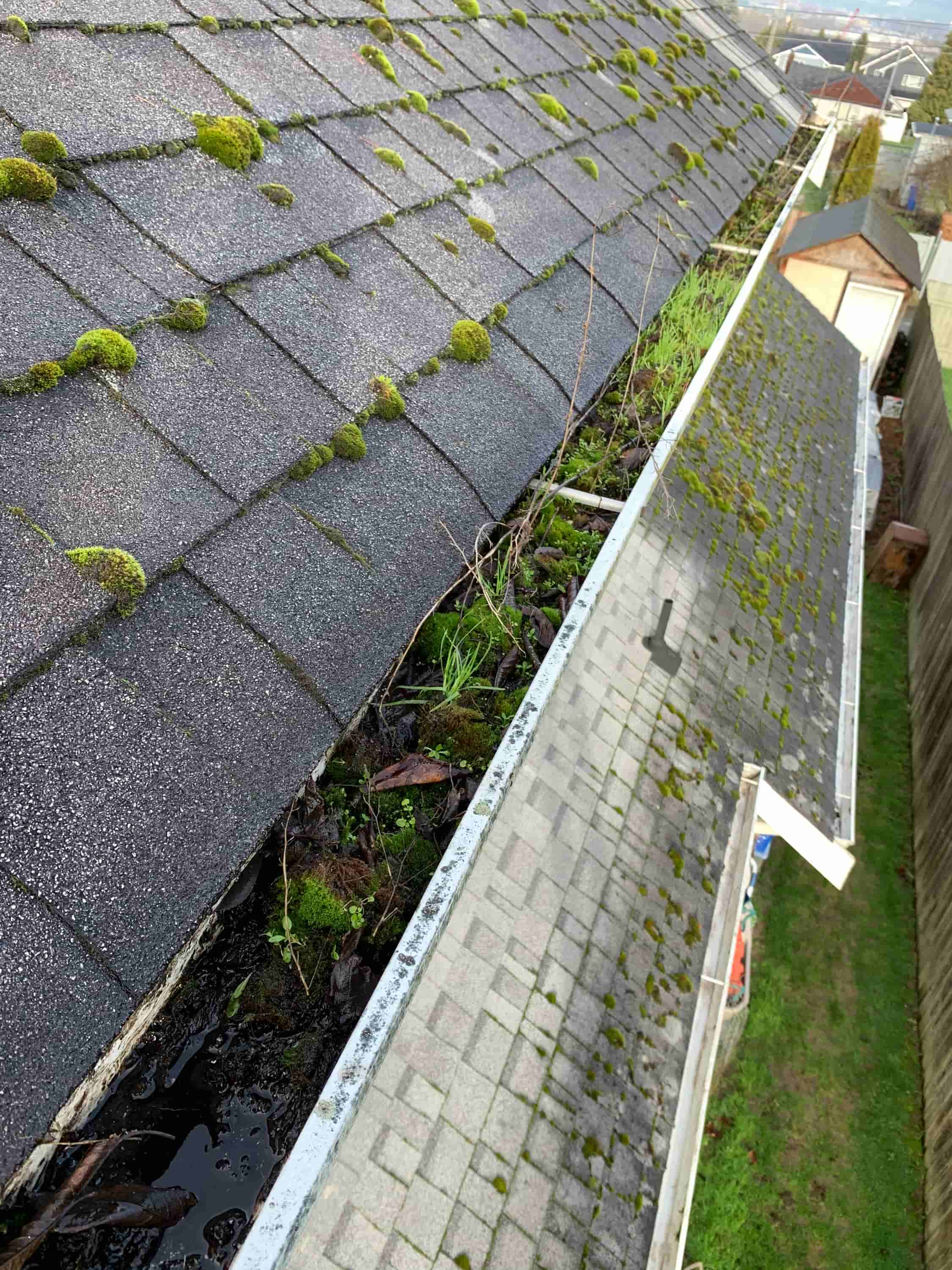 clean gutter exterior