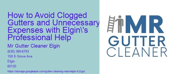 How to Avoid Clogged Gutters and Unnecessary Expenses with Elgin's Professional Help