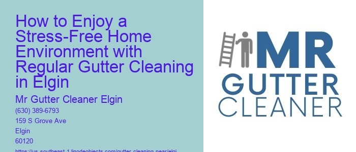 How to Enjoy a Stress-Free Home Environment with Regular Gutter Cleaning in Elgin
