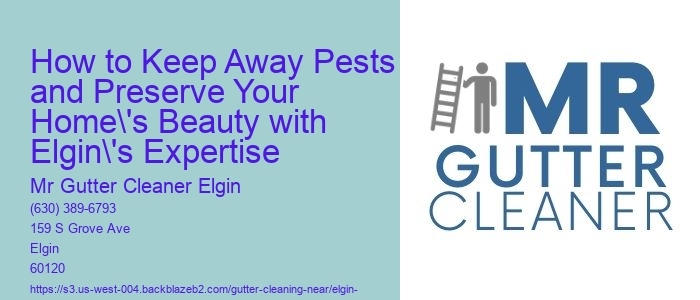 How to Keep Away Pests and Preserve Your Home's Beauty with Elgin's Expertise