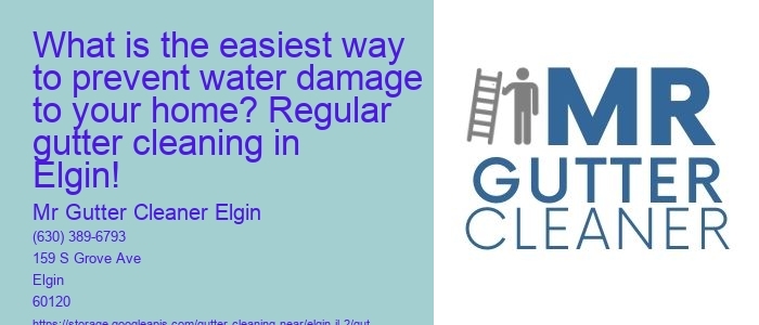 What is the easiest way to prevent water damage to your home? Regular gutter cleaning in Elgin!