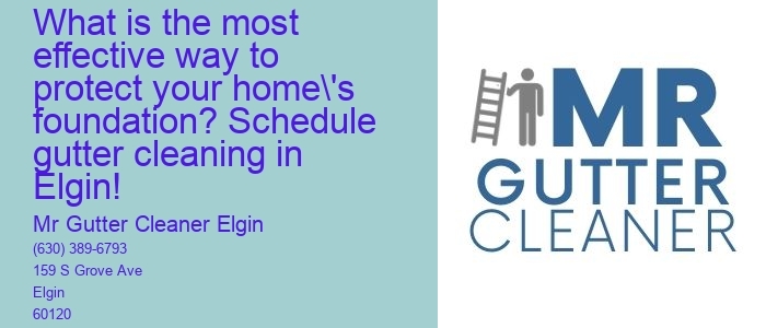 What is the most effective way to protect your home's foundation? Schedule gutter cleaning in Elgin!
