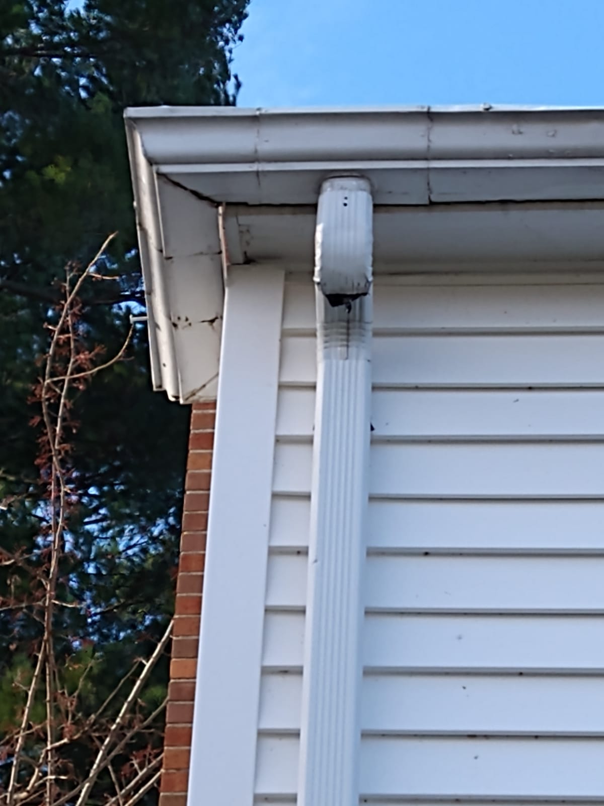 clogged rain gutter