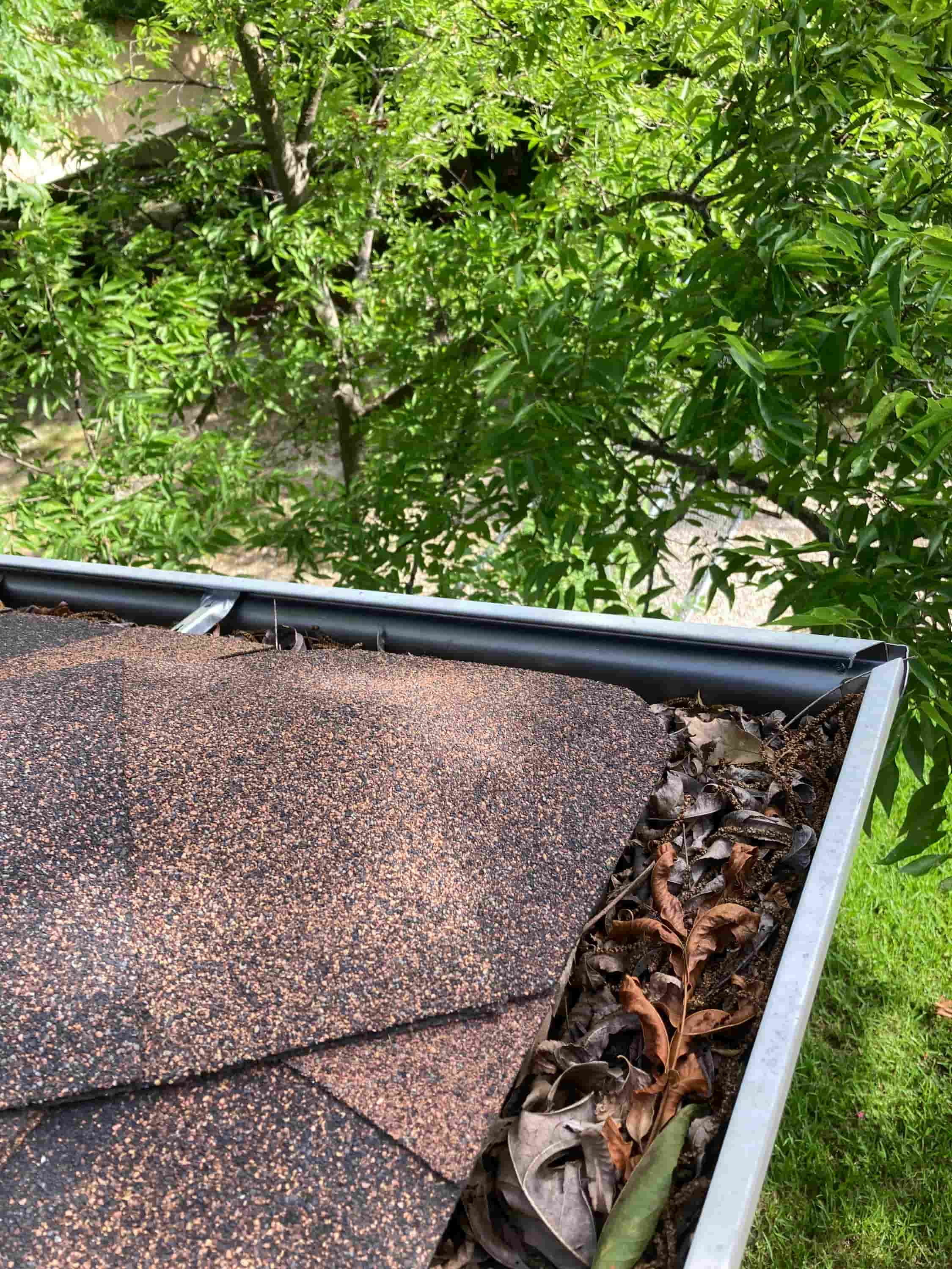 people who clean gutters