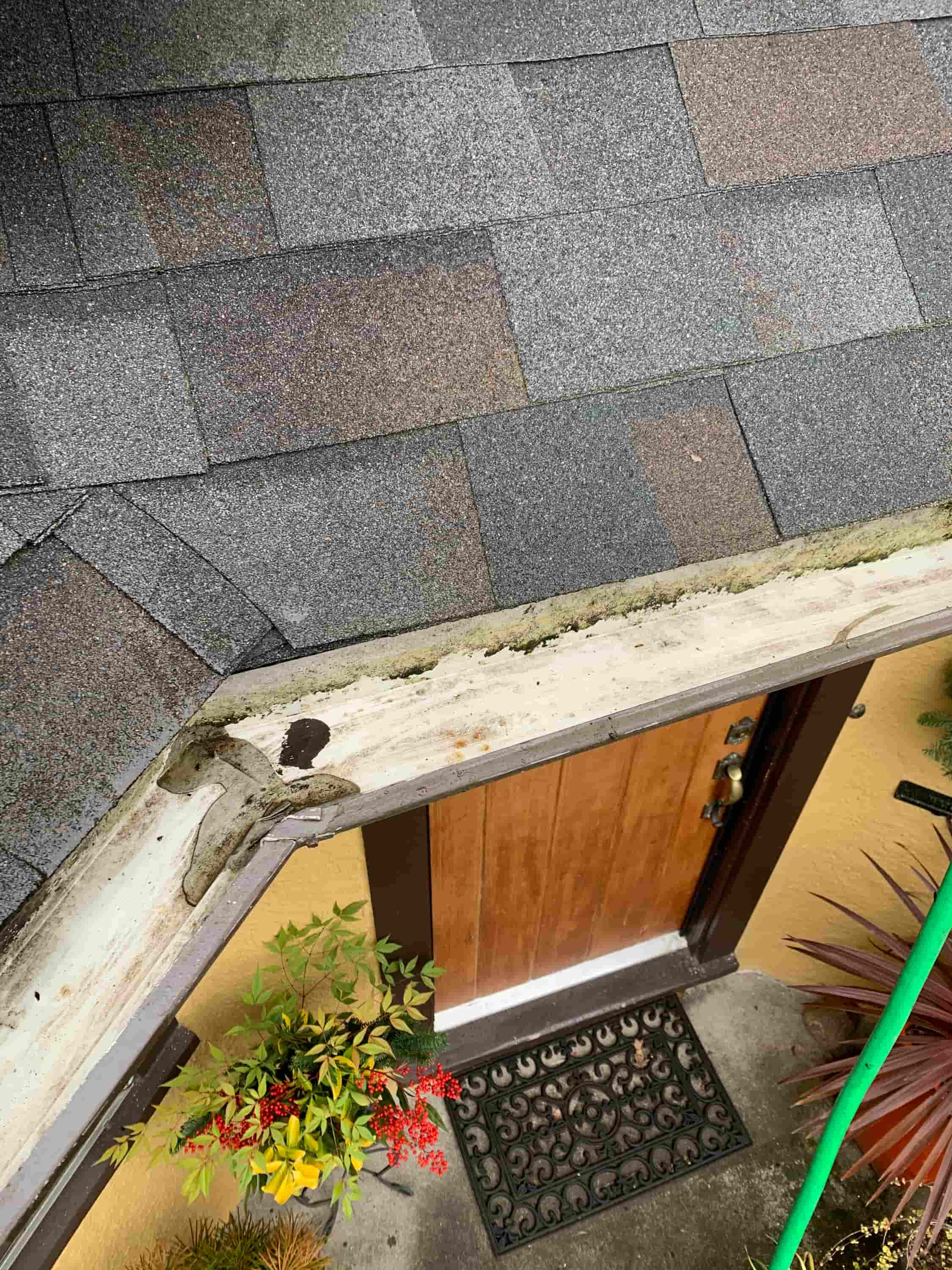 people who clean gutters