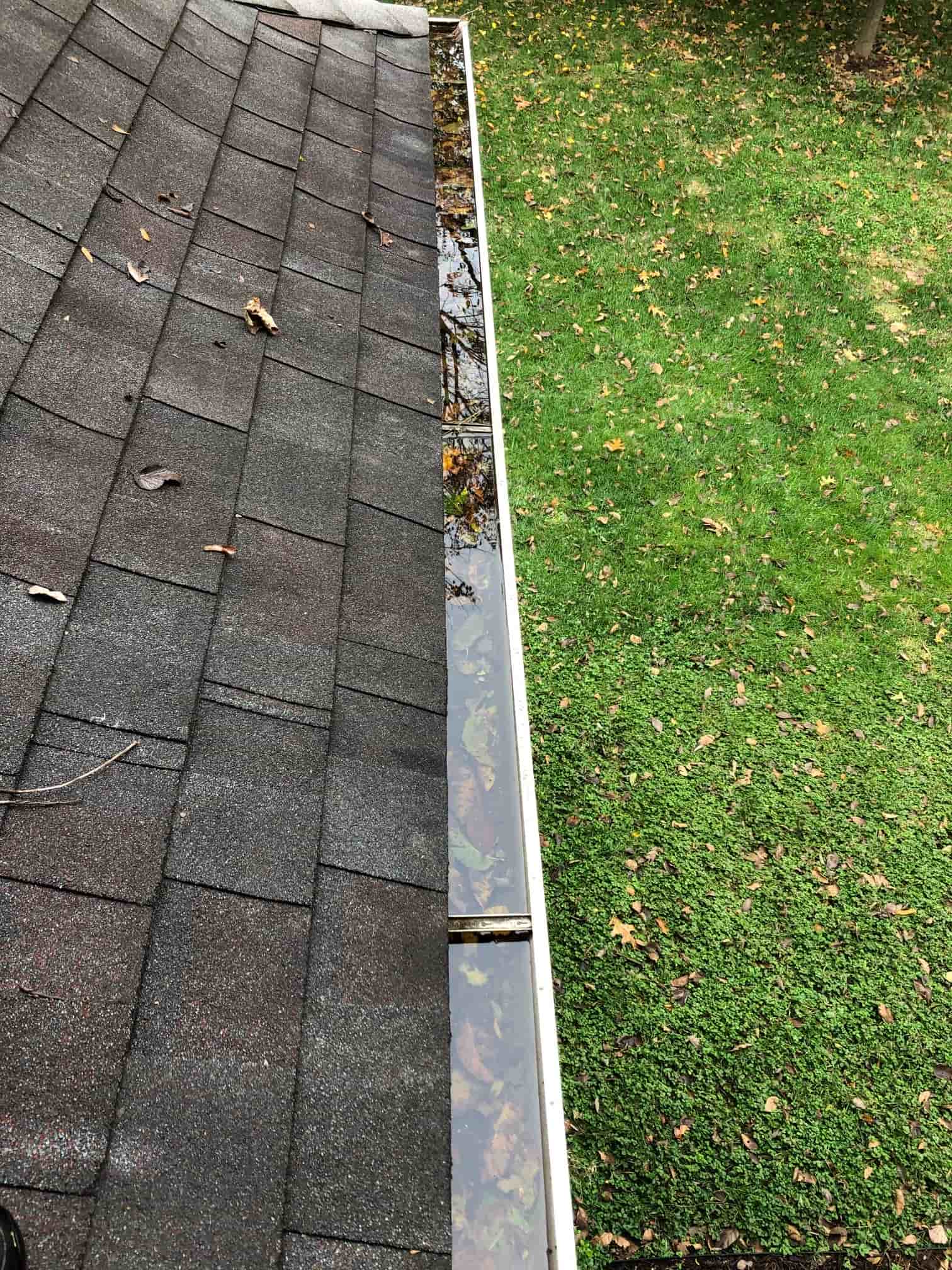 windows and gutter cleaning