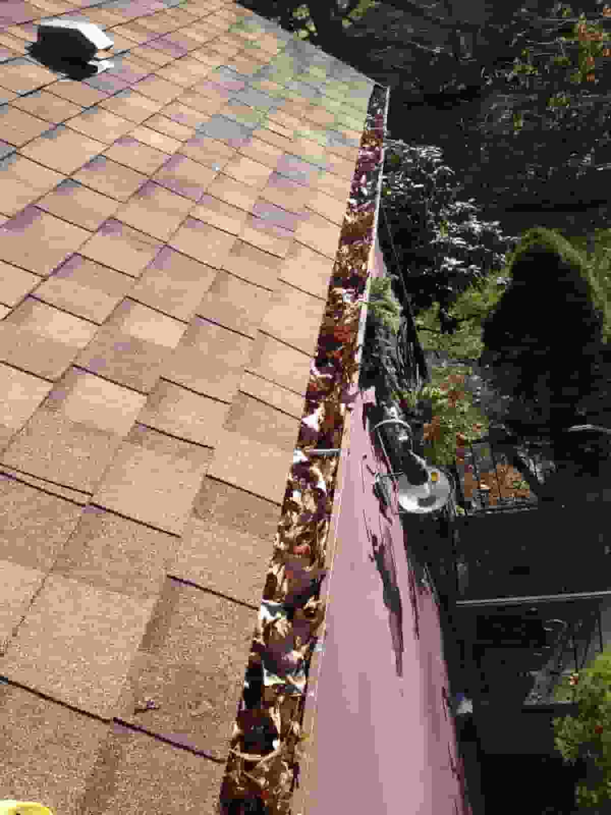 eave cleaning