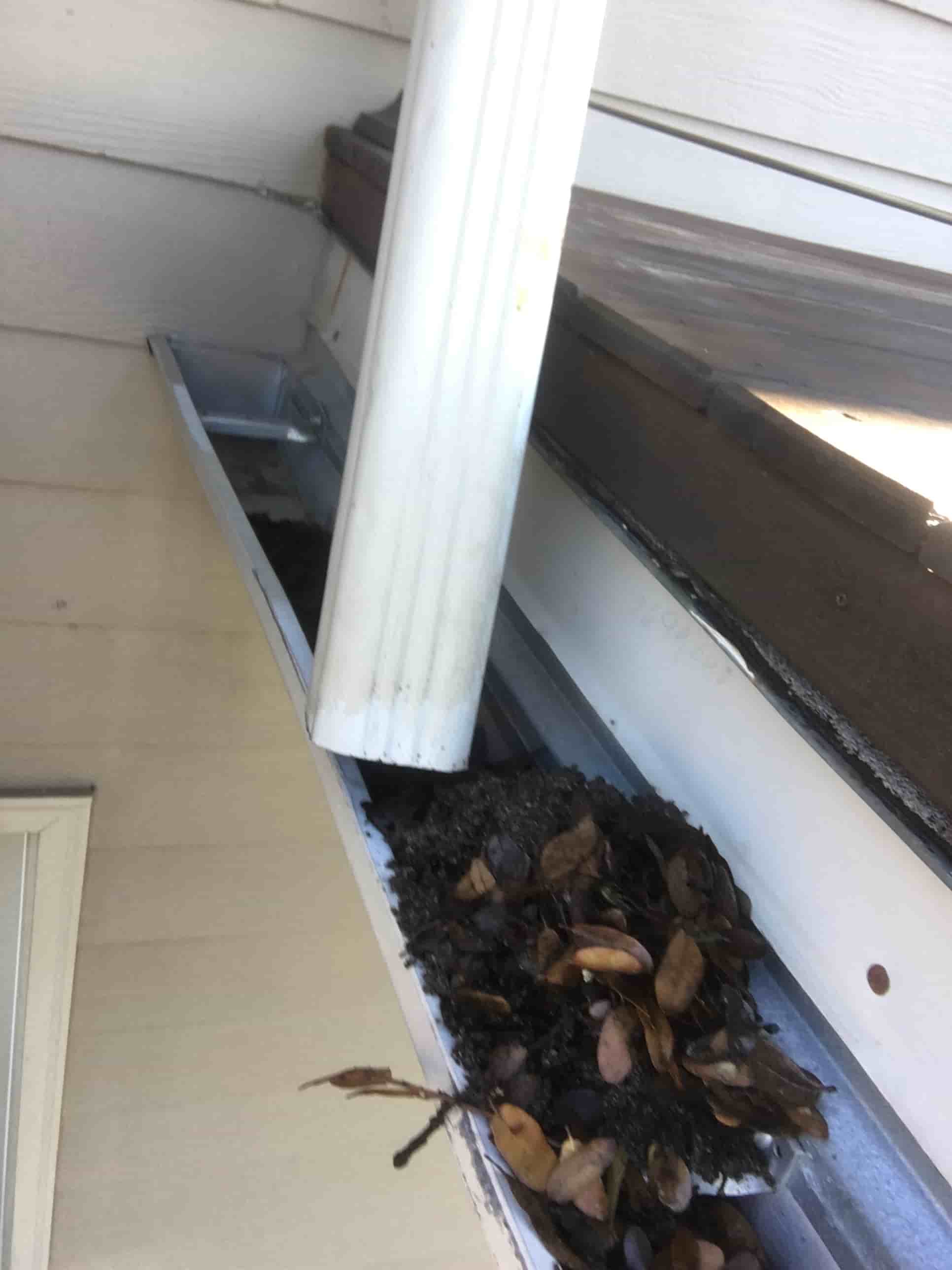roof debris cleaning