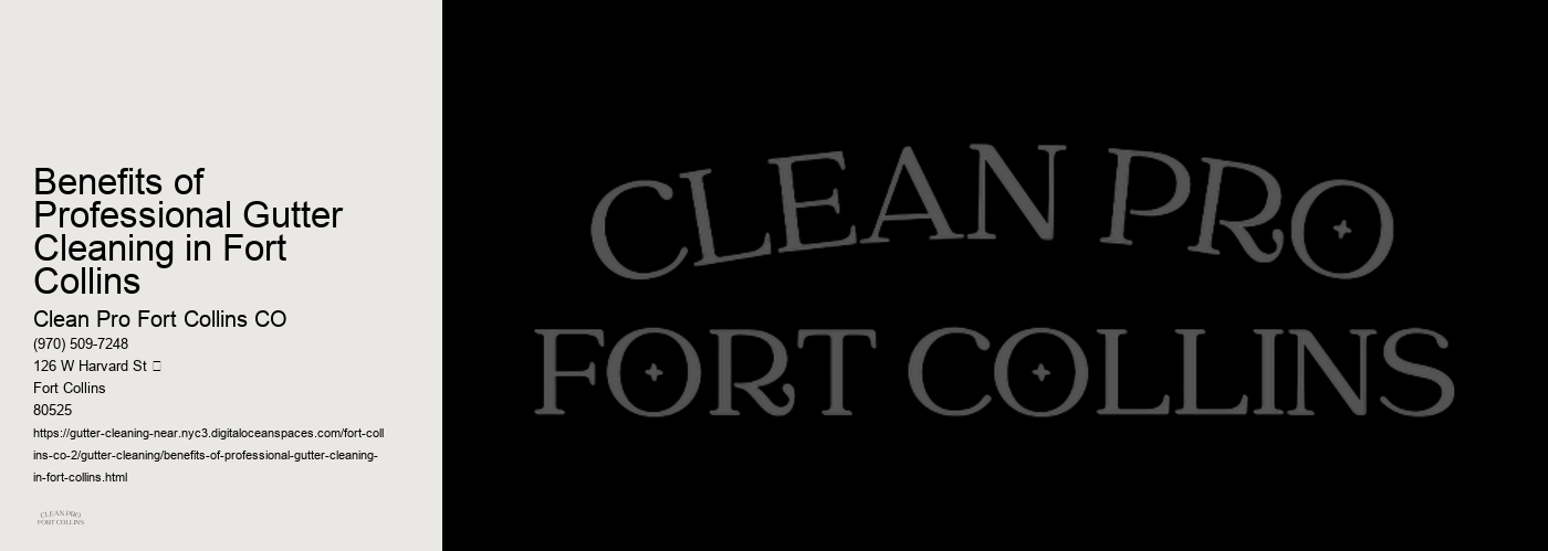 Benefits of Professional Gutter Cleaning in Fort Collins 