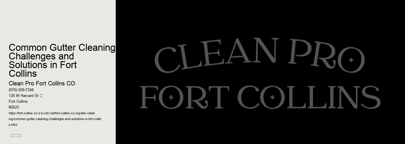 Common Gutter Cleaning Challenges and Solutions in Fort Collins 
