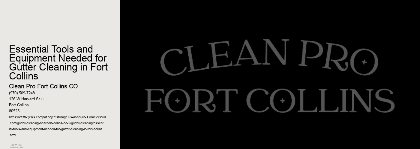 Essential Tools and Equipment Needed for Gutter Cleaning in Fort Collins 