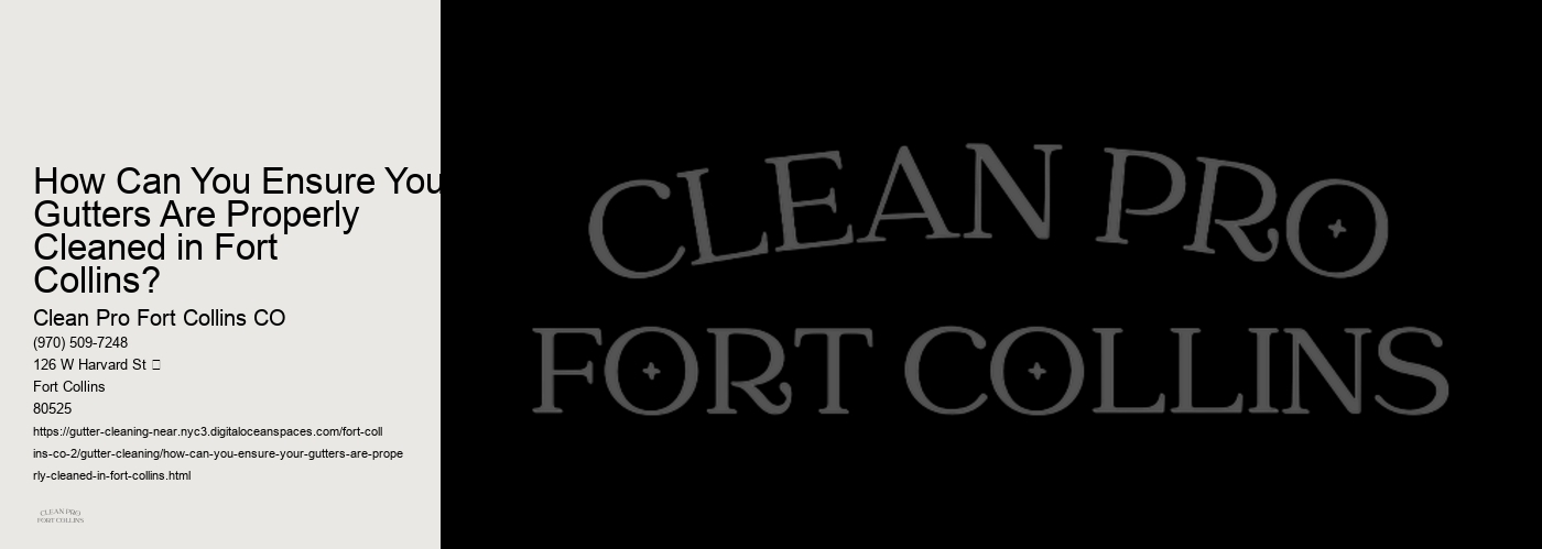How Can You Ensure Your Gutters Are Properly Cleaned in Fort Collins? 