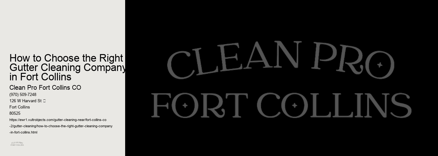 How to Choose the Right Gutter Cleaning Company in Fort Collins 