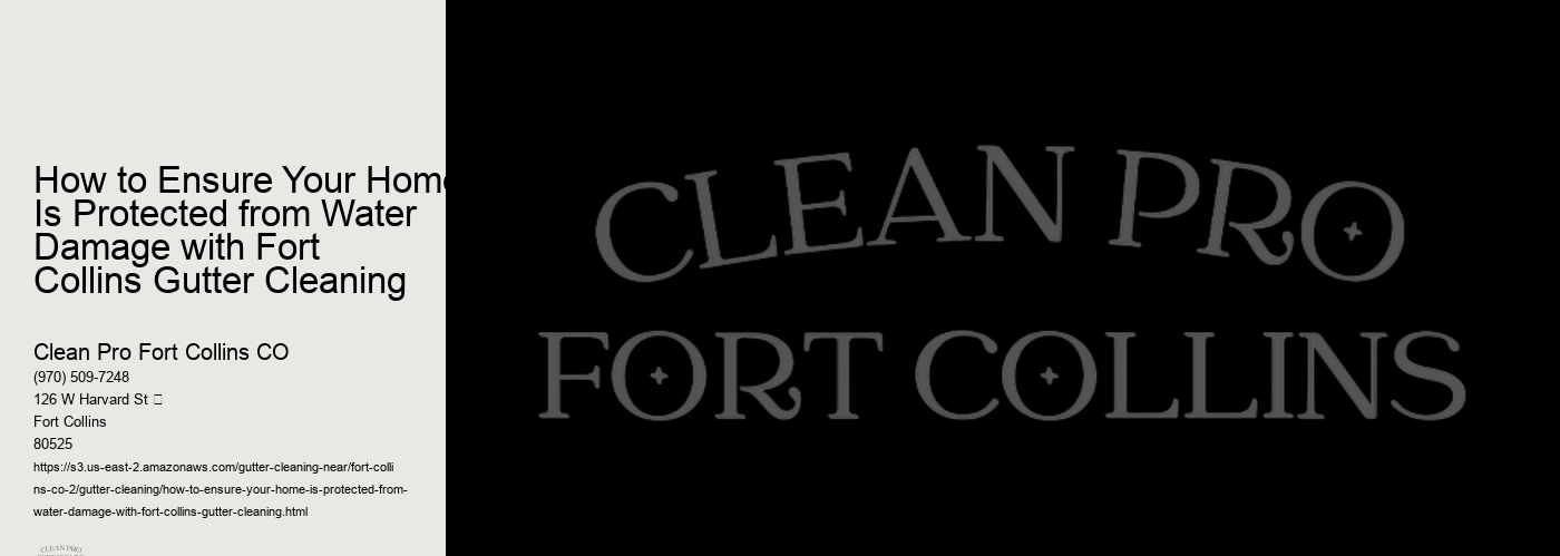 How to Ensure Your Home Is Protected from Water Damage with Fort Collins Gutter Cleaning 