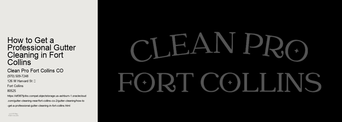 How to Get a Professional Gutter Cleaning in Fort Collins 