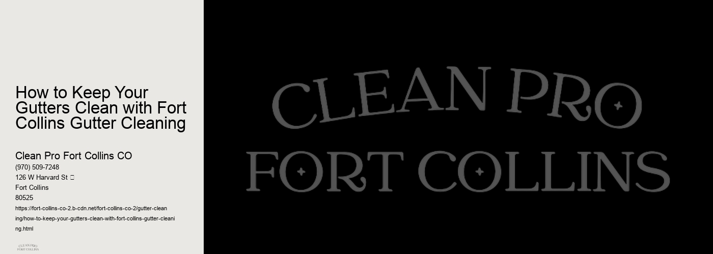 How to Keep Your Gutters Clean with Fort Collins Gutter Cleaning 