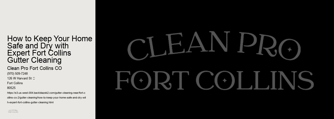 How to Keep Your Home Safe and Dry with Expert Fort Collins Gutter Cleaning 