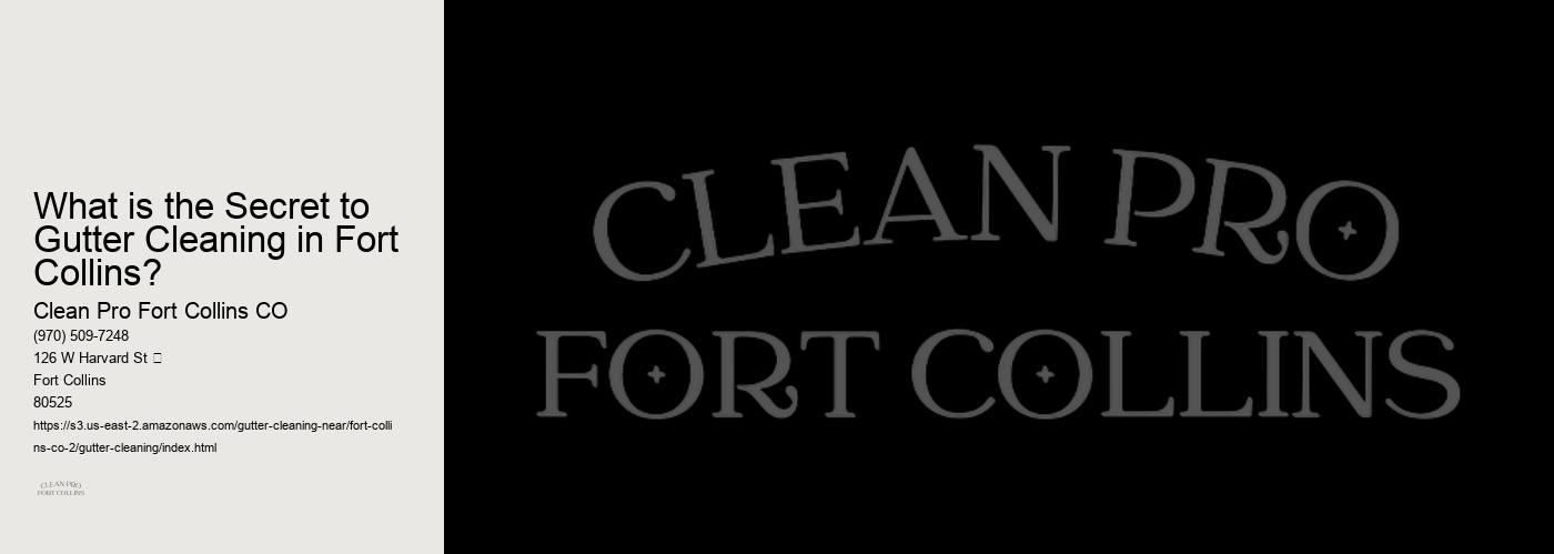 What is the Secret to Gutter Cleaning in Fort Collins?