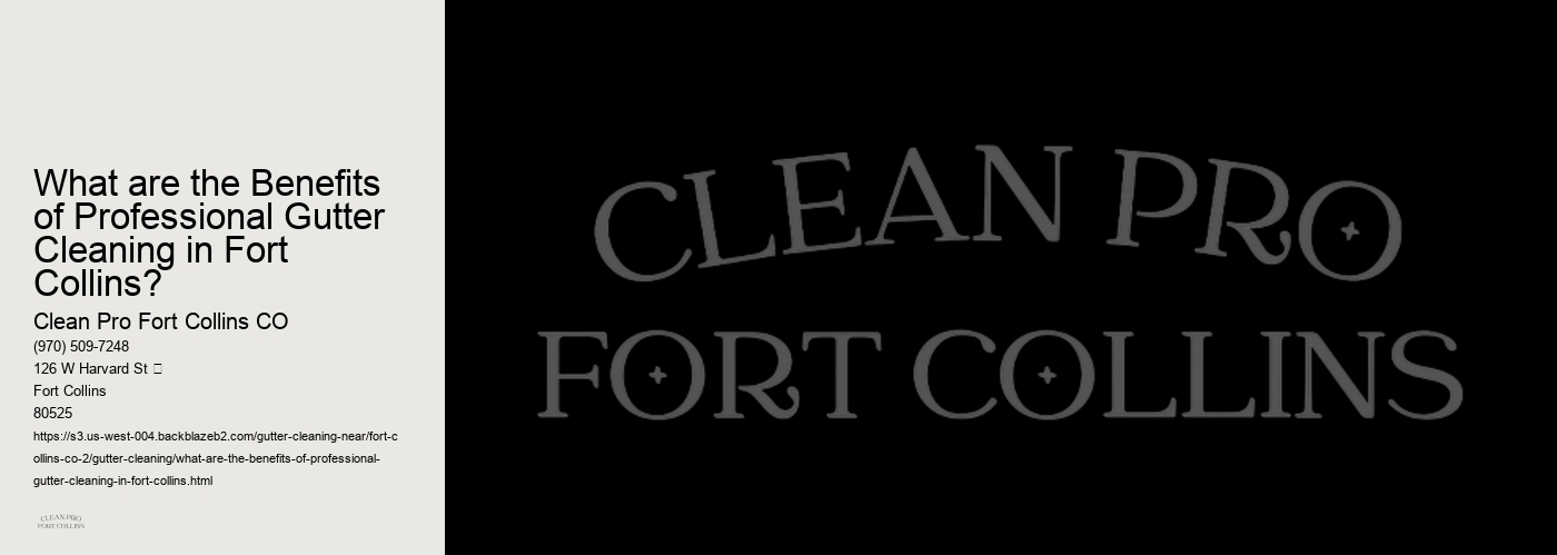 What are the Benefits of Professional Gutter Cleaning in Fort Collins? 