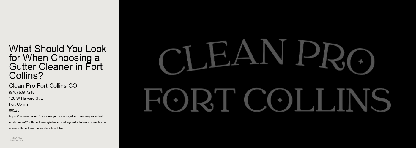 What Should You Look for When Choosing a Gutter Cleaner in Fort Collins? 
