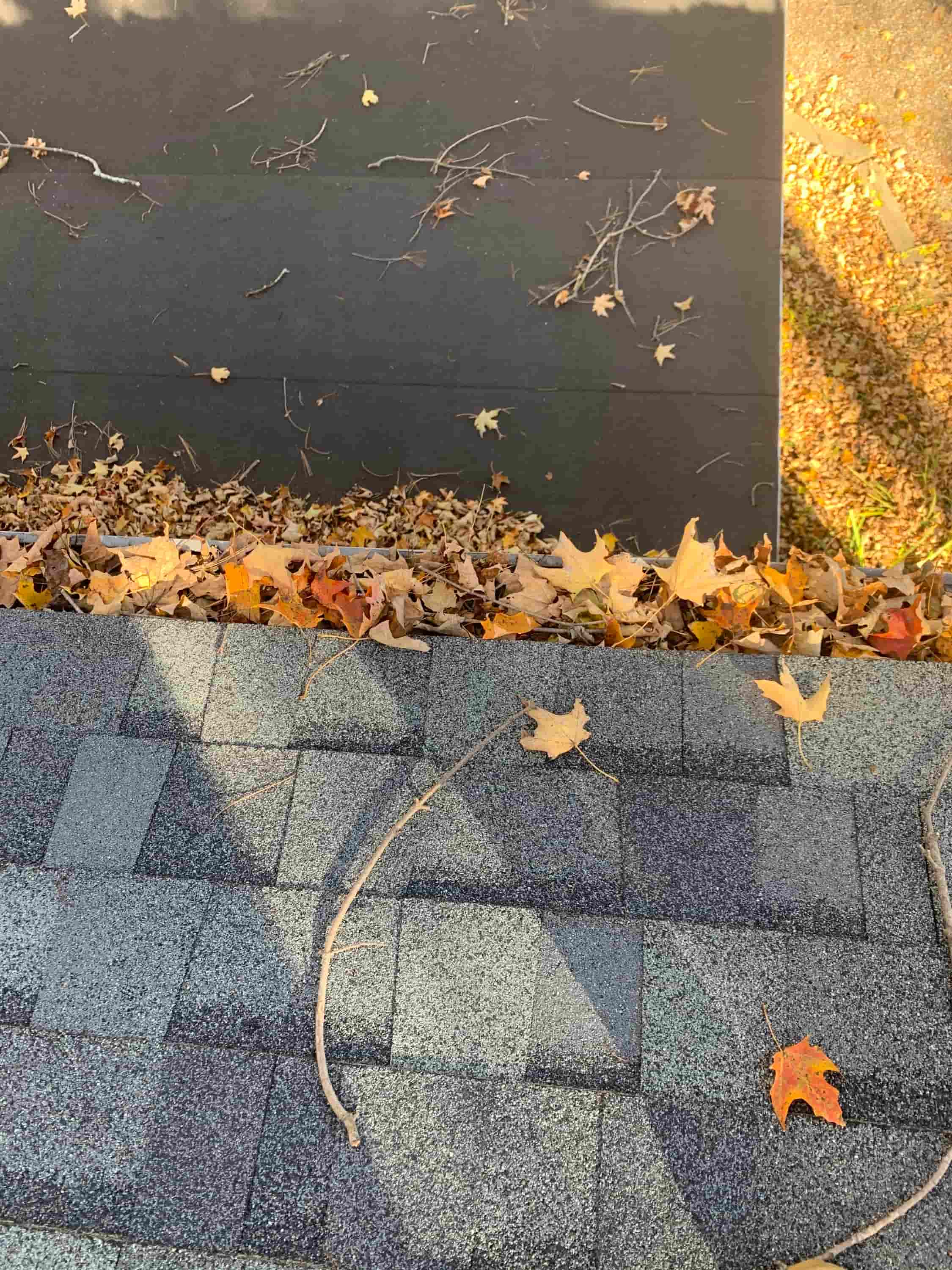 cleaning gutters and downpipes