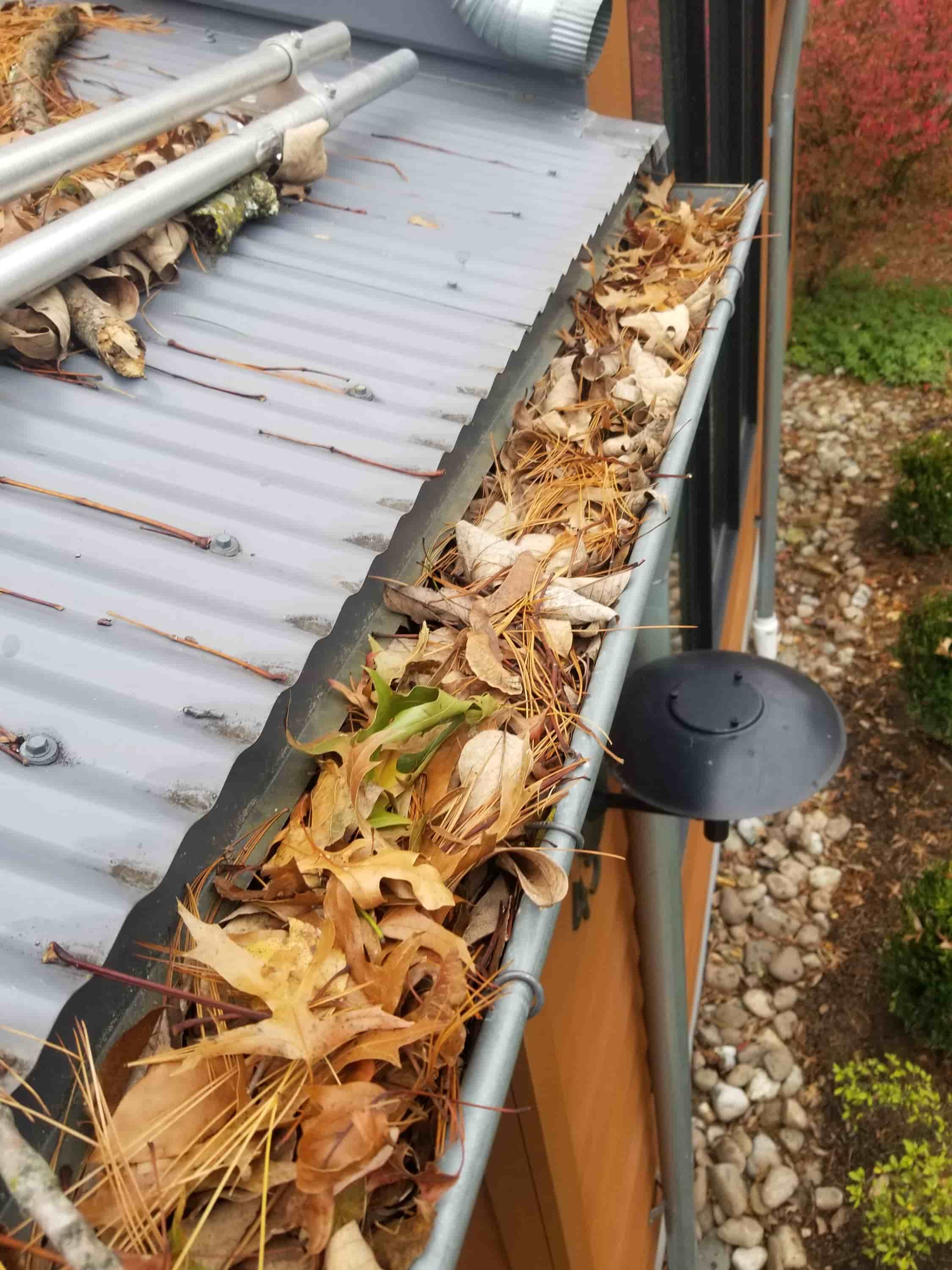 debris in gutters