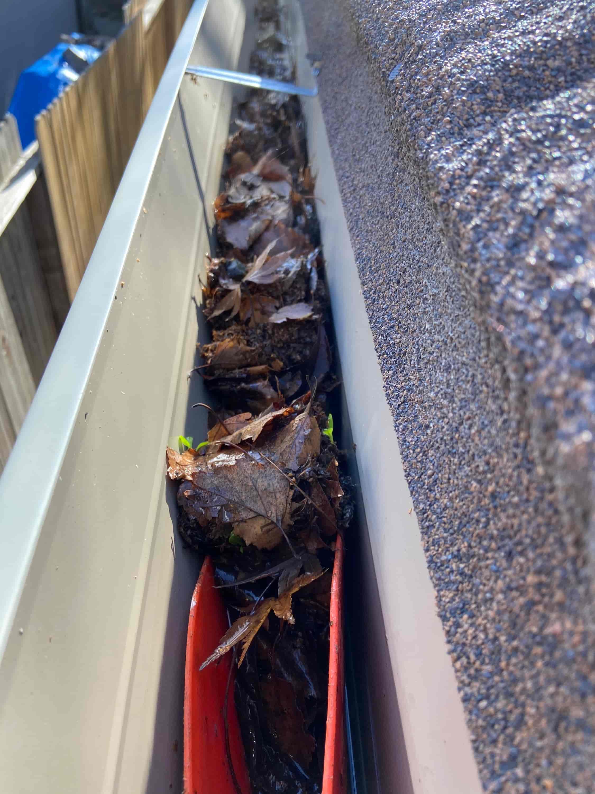 rain gutter cleaning services