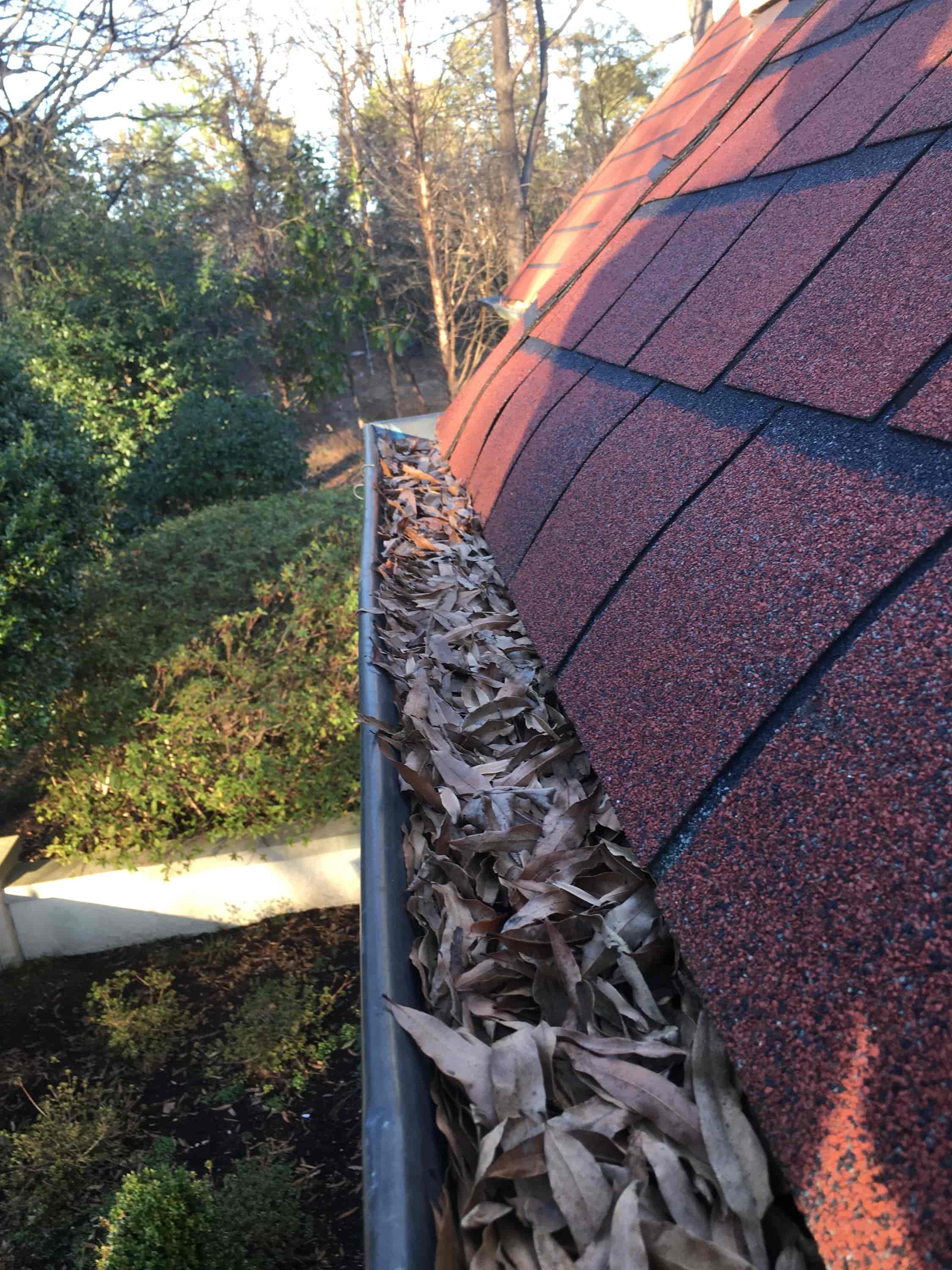 what is the best gutter cleaner