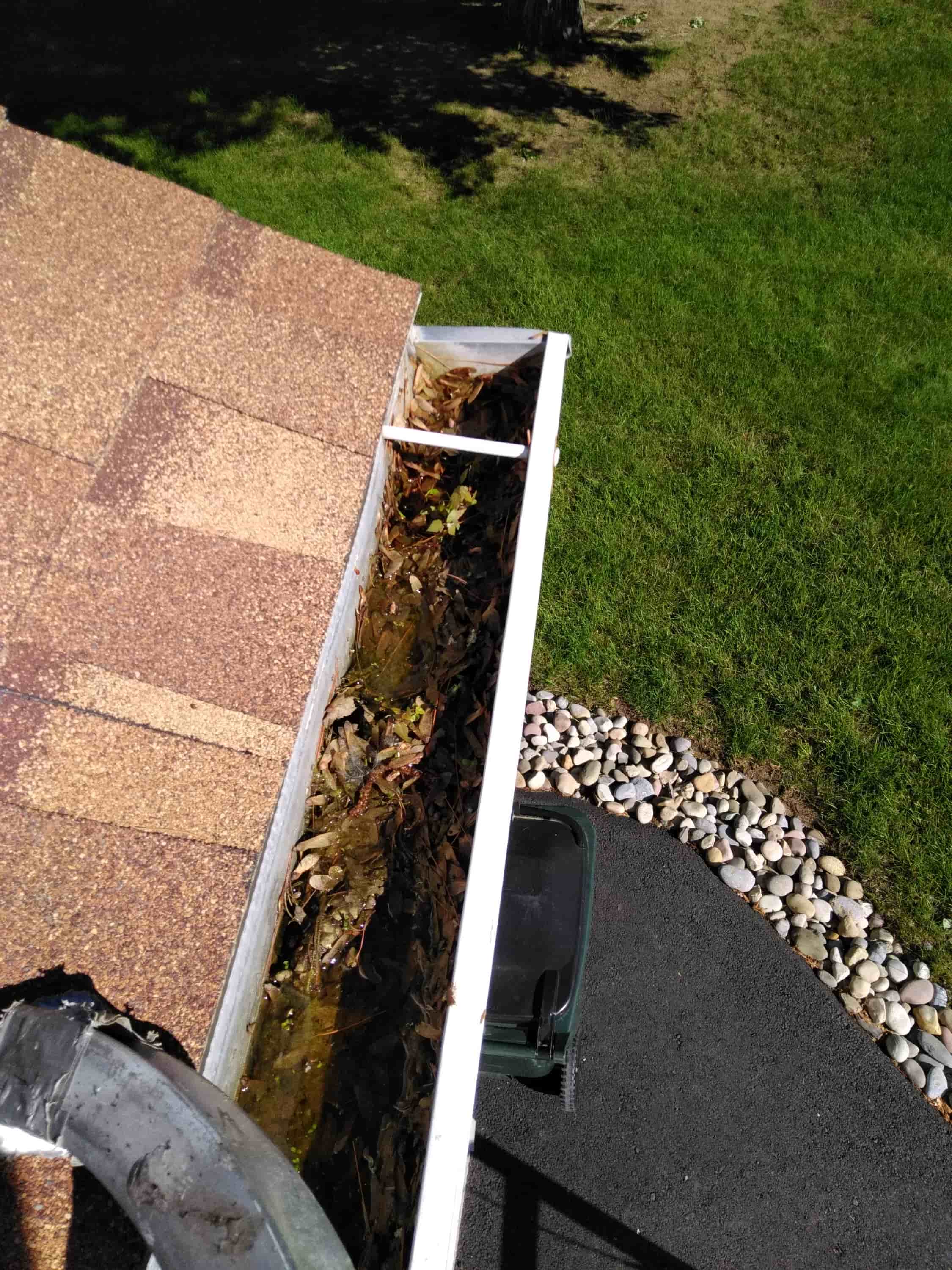 gutter cleaning system