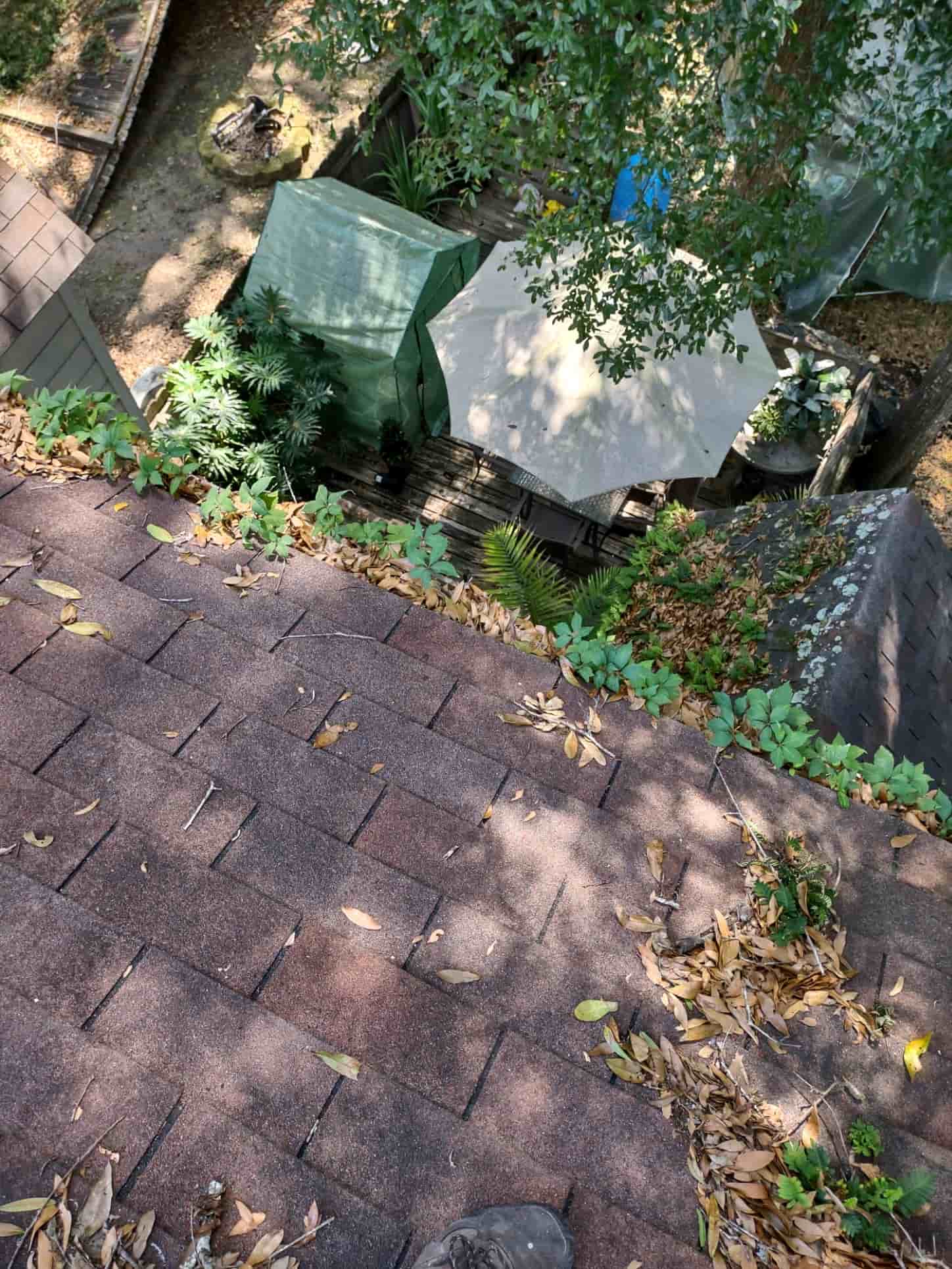 gutter cleaner chemical