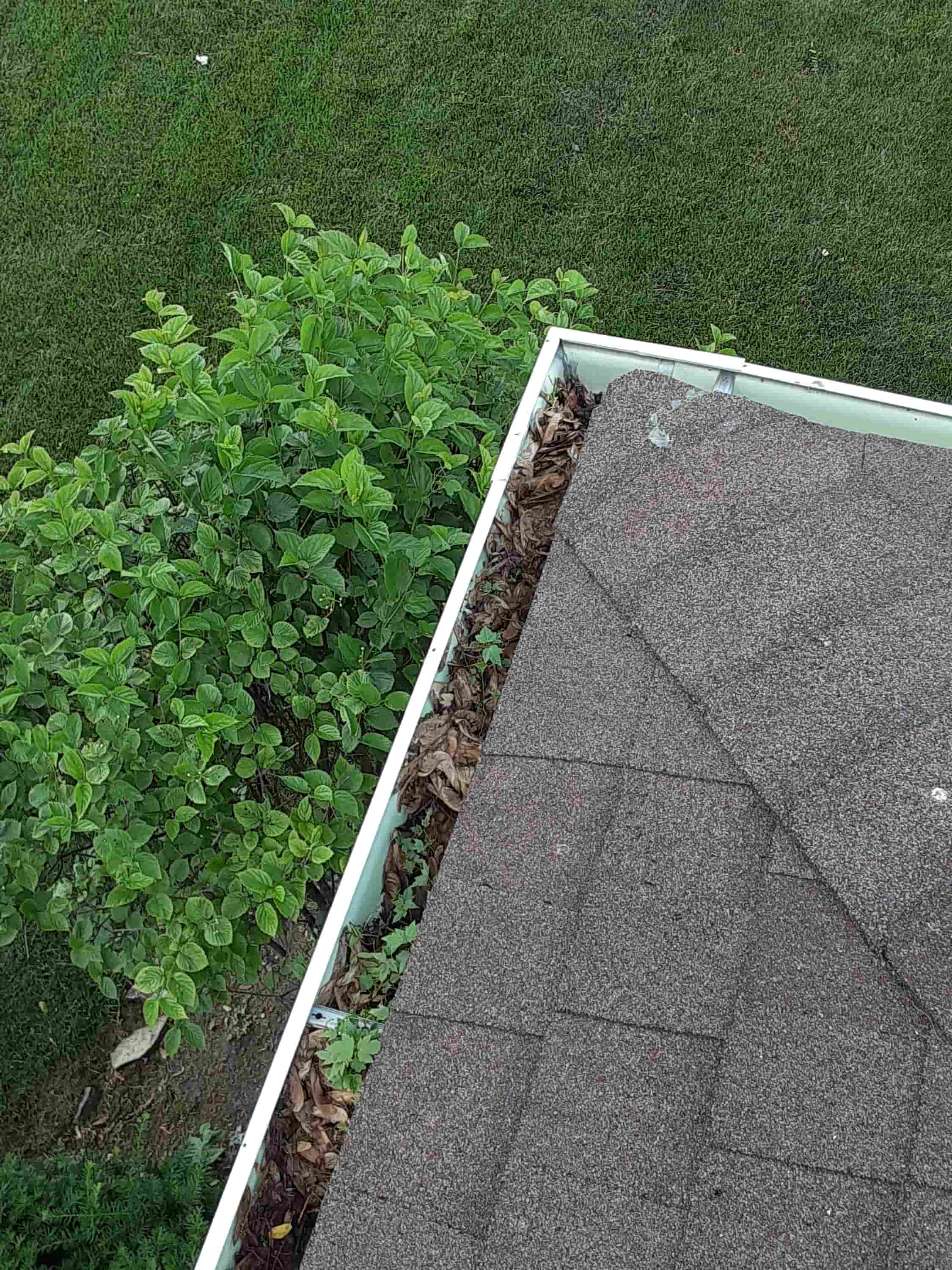 how to clean out gutter downspouts