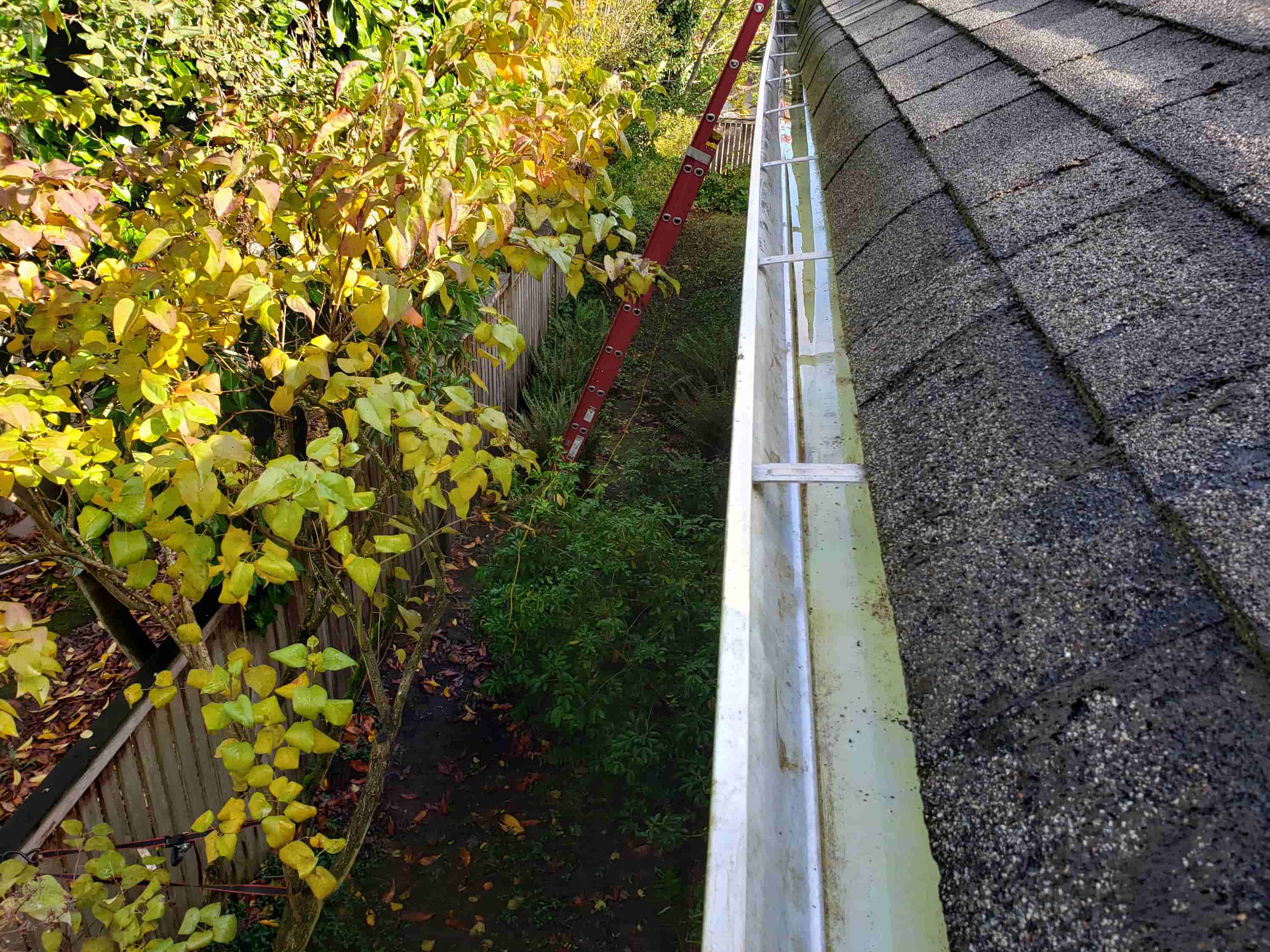 gutter cleaning tongs