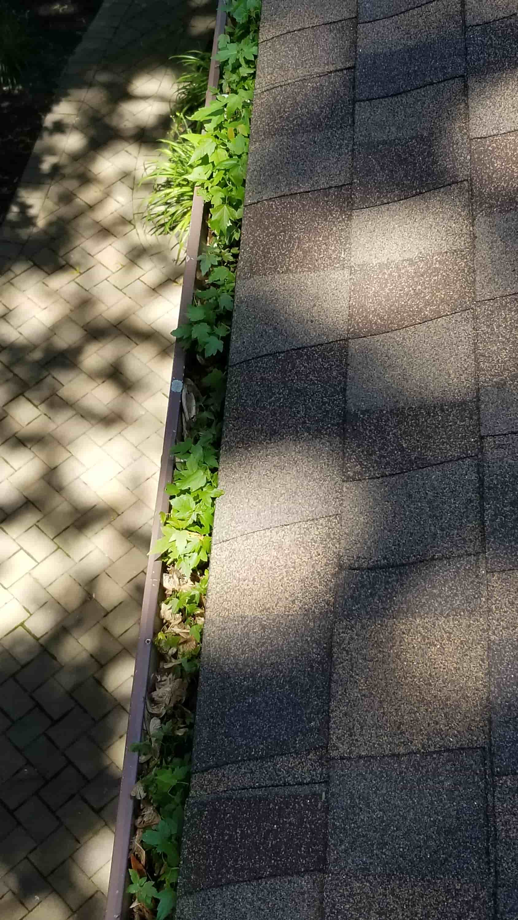 gutter repair cost estimate