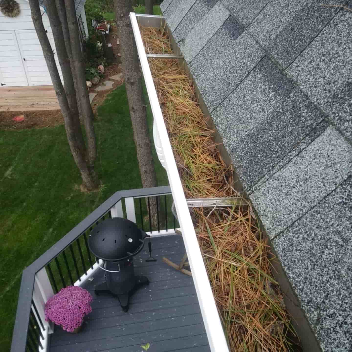 leaves in gutters problems