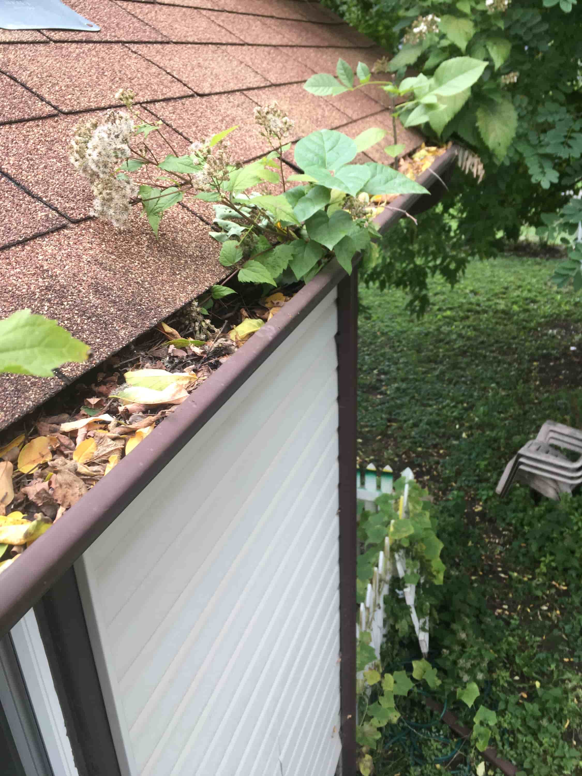 gutter cleaning and guard installation
