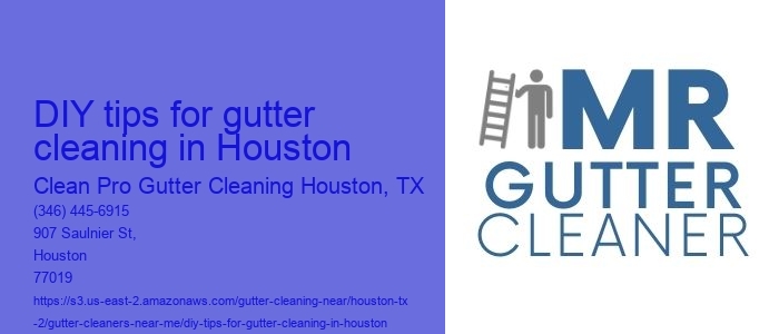 DIY tips for gutter cleaning in Houston 