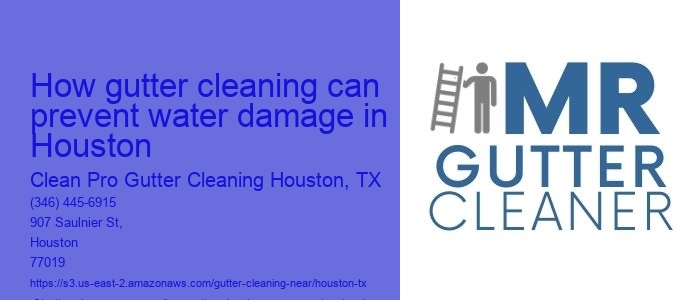 How gutter cleaning can prevent water damage in Houston 