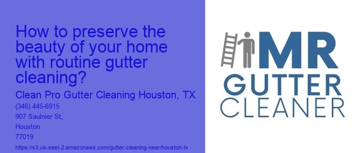 How to preserve the beauty of your home with routine gutter cleaning?