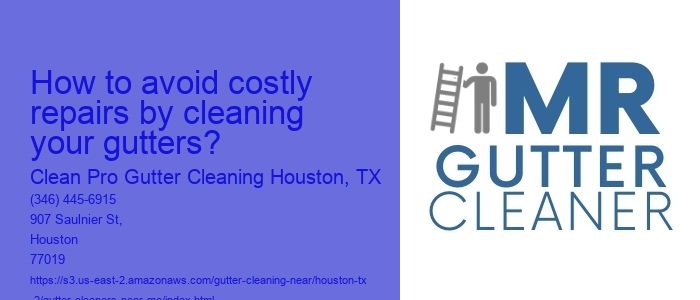 How to avoid costly repairs by cleaning your gutters?
