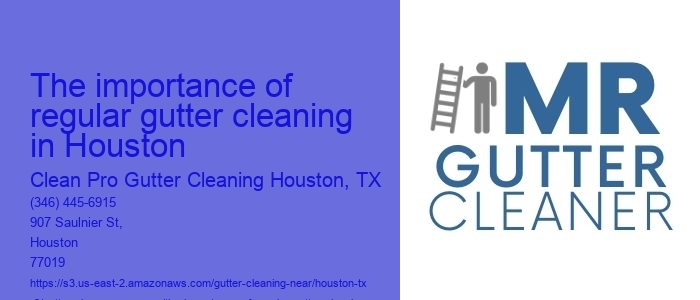 The importance of regular gutter cleaning in Houston