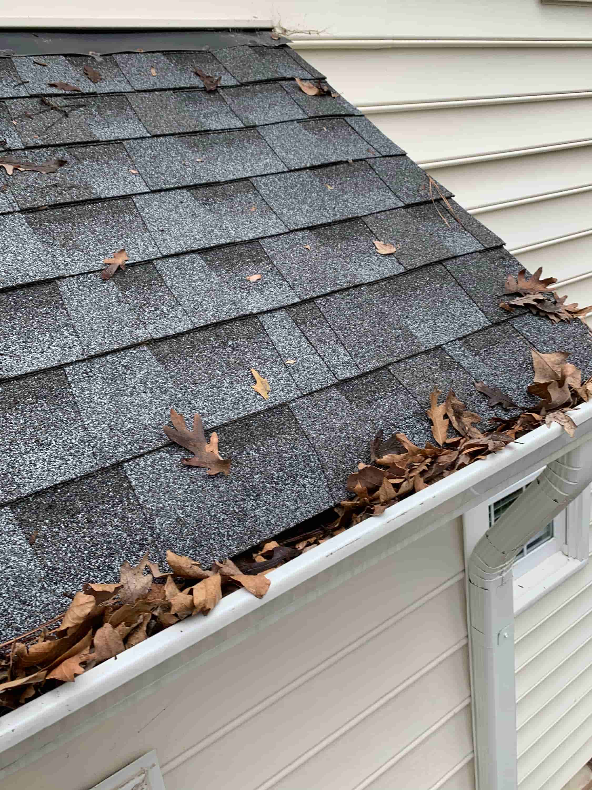 how often to clean gutter