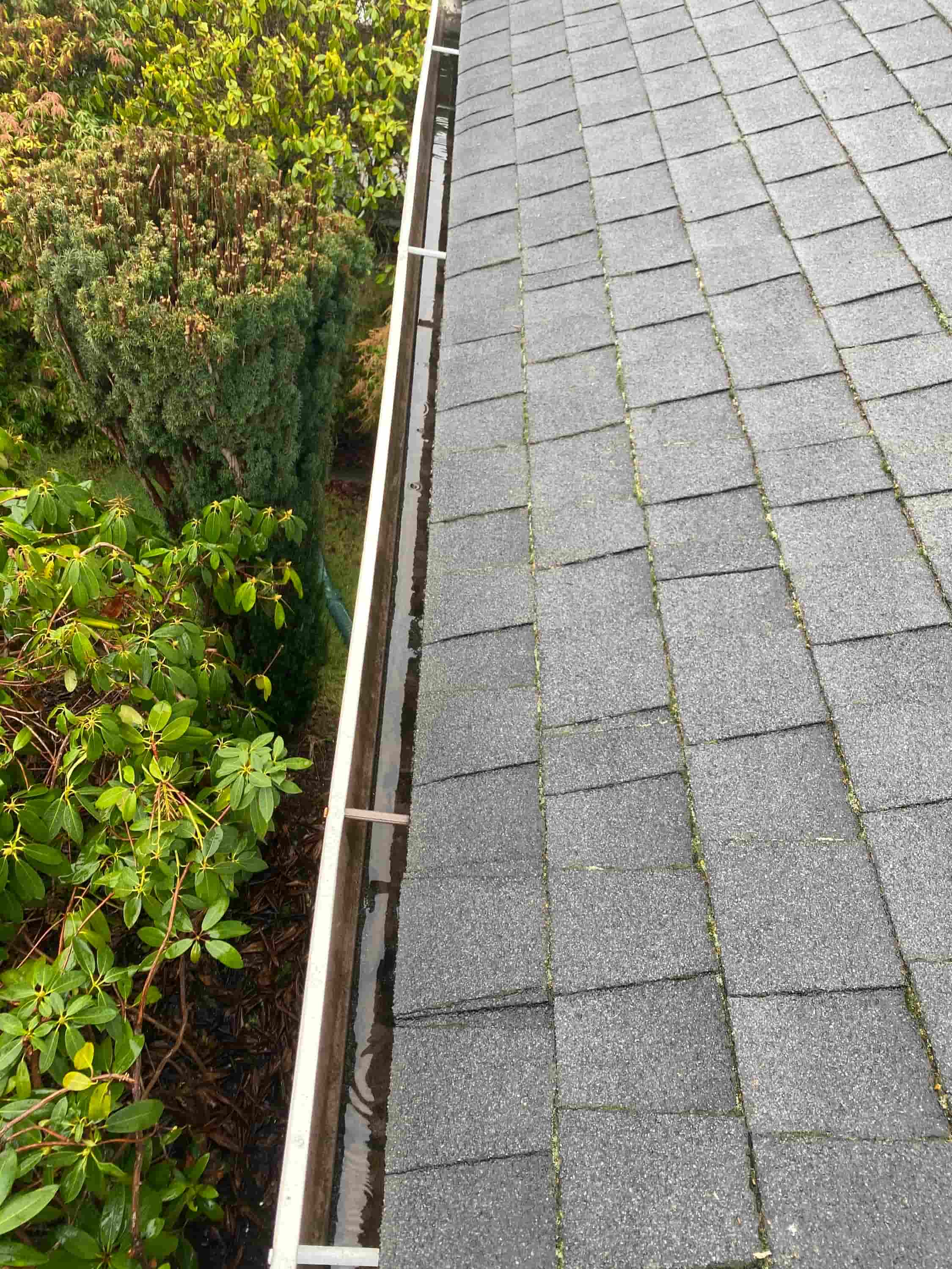 pressure wash gutters