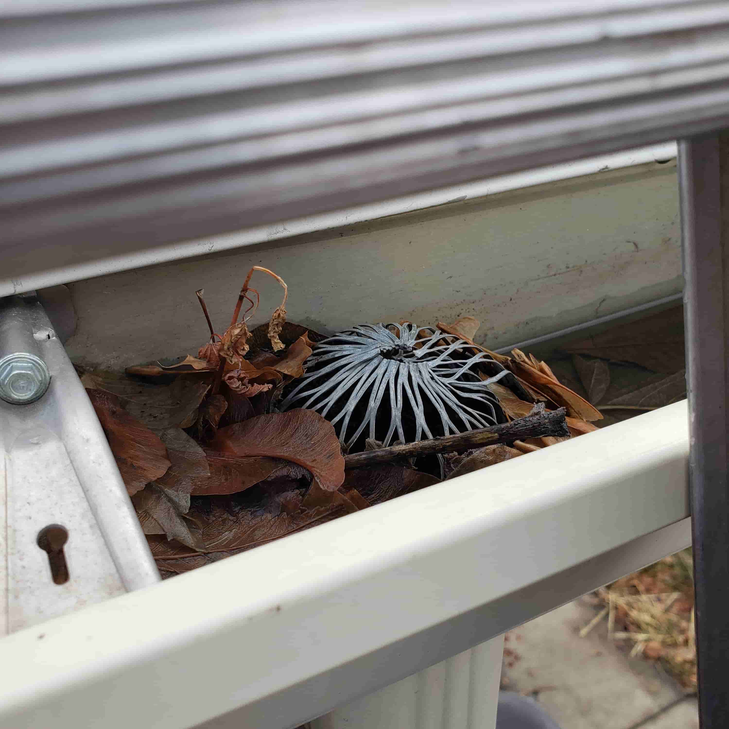 cleaning white gutters